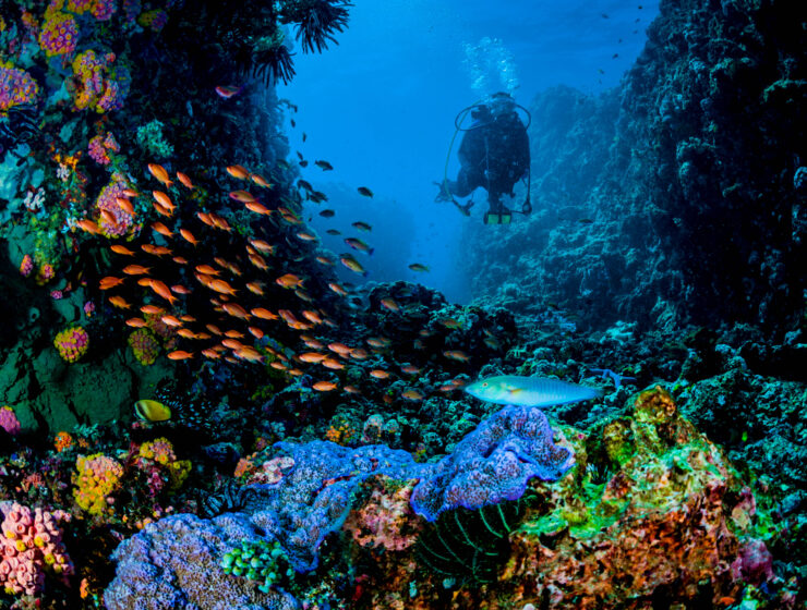 sneak peak of the 2023 calendar cover image