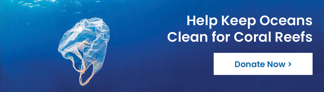 Support Healthy Oceans