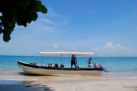 2017_BlogPost_MadhaviVisit_DivingReefs