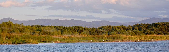 2017_BlogPost_MadhaviVisit_Header