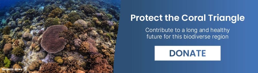 Protect the Coral Triangle - Contribute to a long and healthy future for this biodiverse region