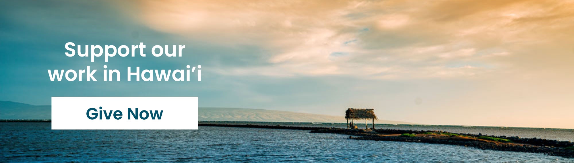 Support our work in Hawai'i - Give now