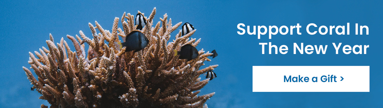 Support CORAL in the New Year>