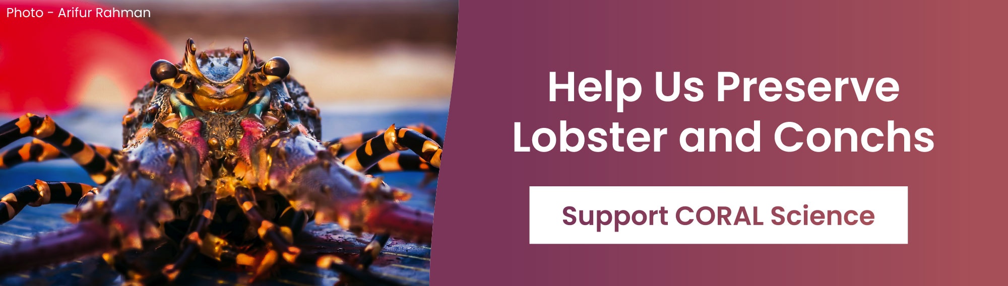 Help us preserve lobster and conchs