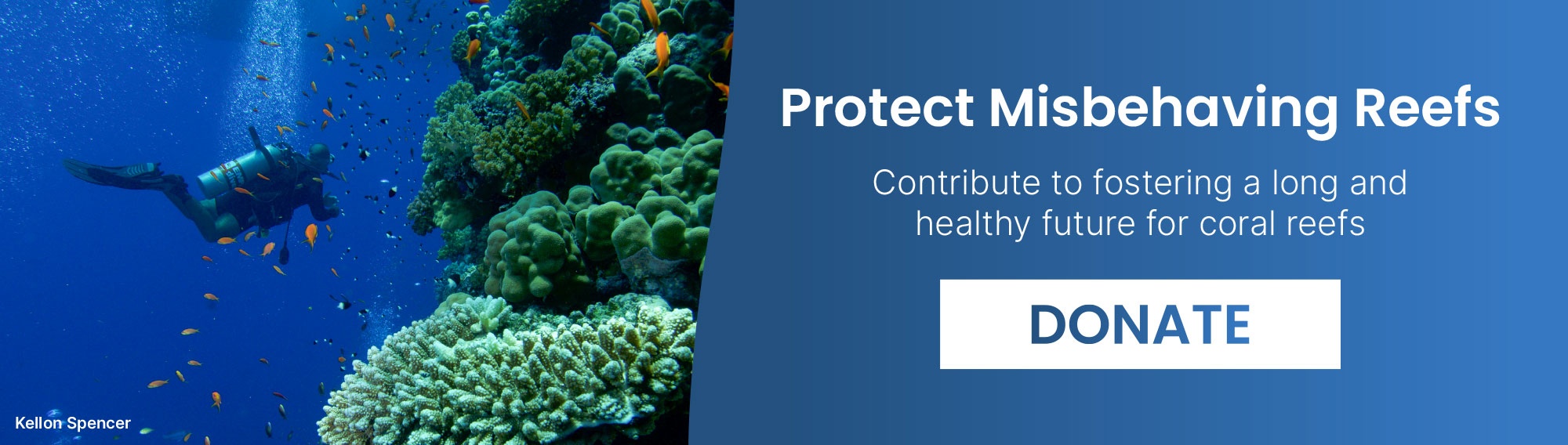 Protect Misbehaving Reefs - Donate