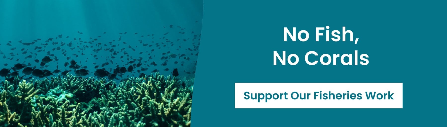 No Fish, No Corals - Support our fisheries work