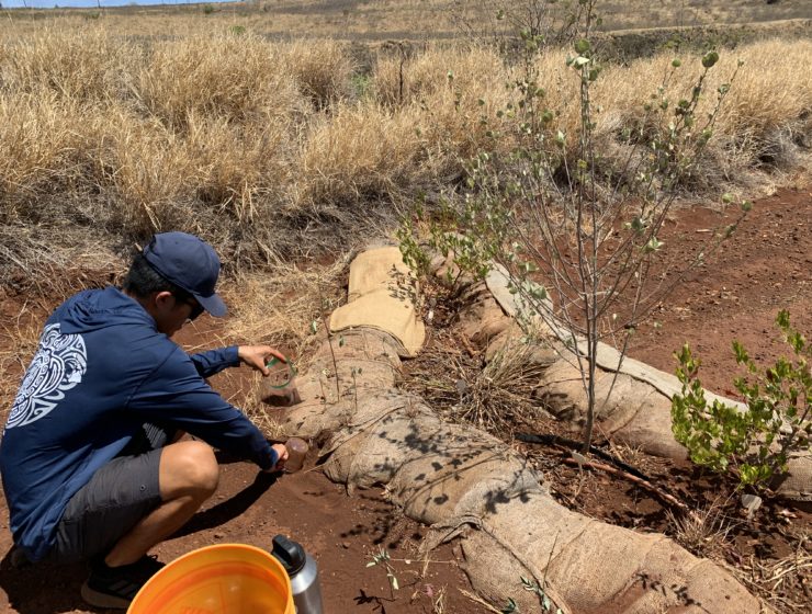 Coral staff measure sediment collection