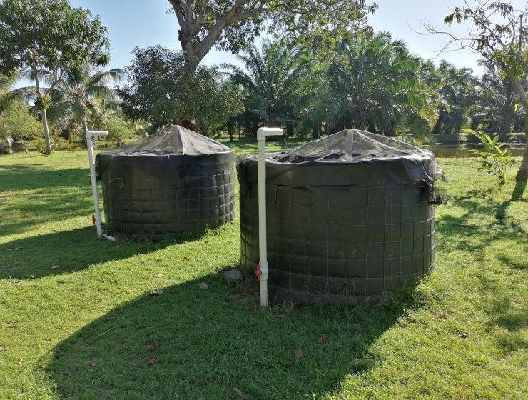 Paula Urrutia takes a water sample from the aquaculture system
