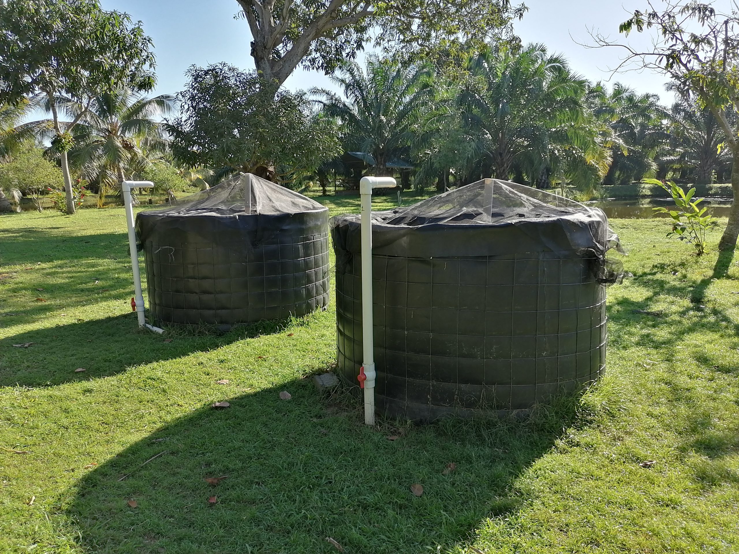 Paula Urrutia takes a water sample from the aquaculture system