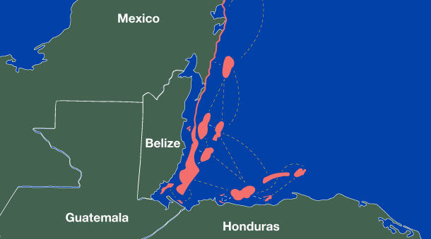 Connected Reefscape Illustration, Mesoamerican Reef