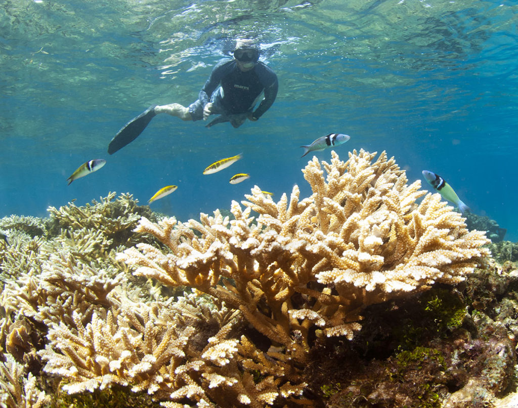 Photo credit: Antonio Busiello