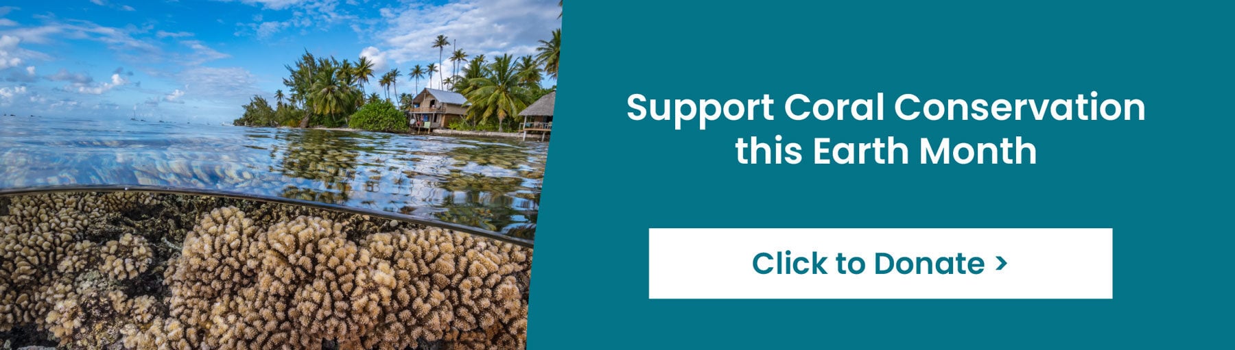 Support Coral Conservation this Earth Month - Click to Donate!