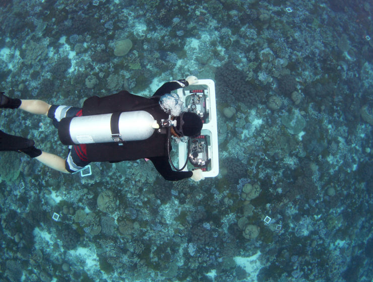 mapping seafloor life in Palmyra