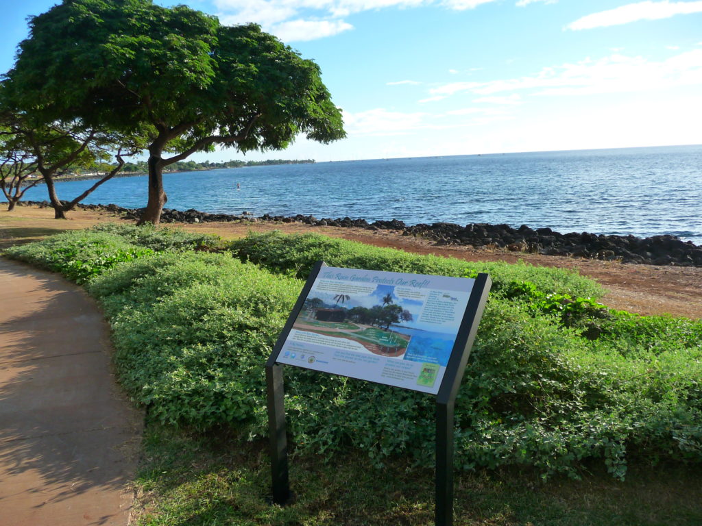 rain garden background photo highres