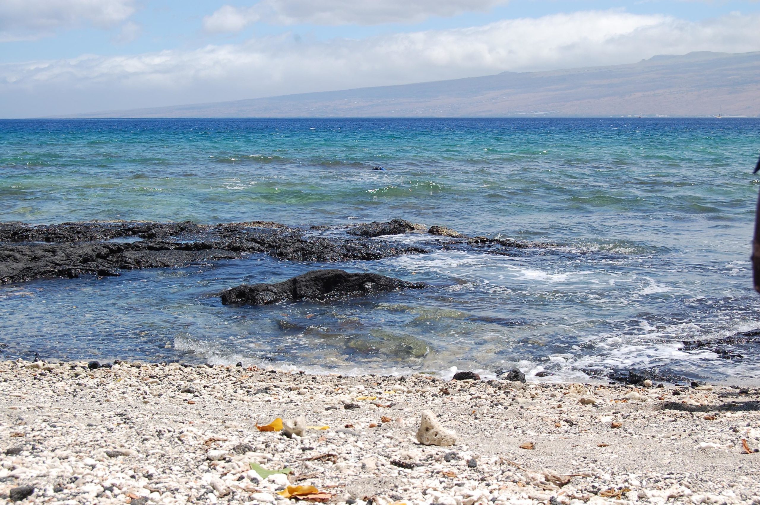 Water quality sampling site in Hawaii