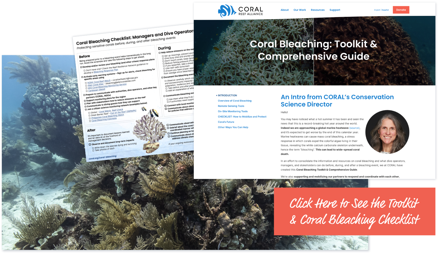 Click here to visit the toolkit and coral bleaching checklist