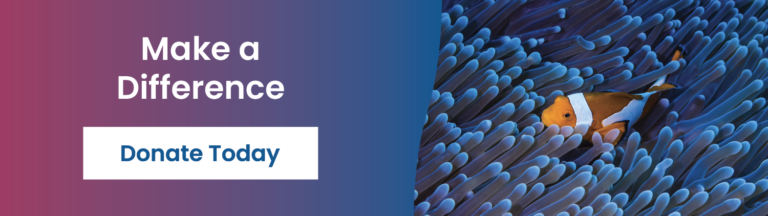 Make a Difference - Donate Today