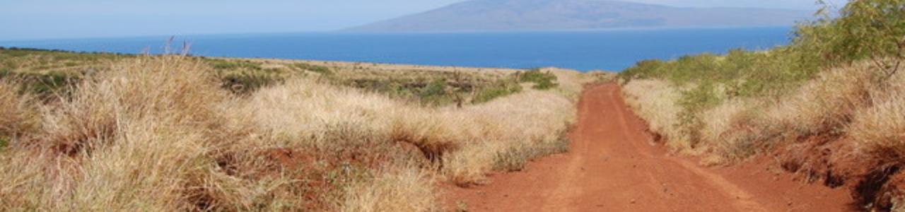 Dirt road waiting to be restored in Maui, Hawaii