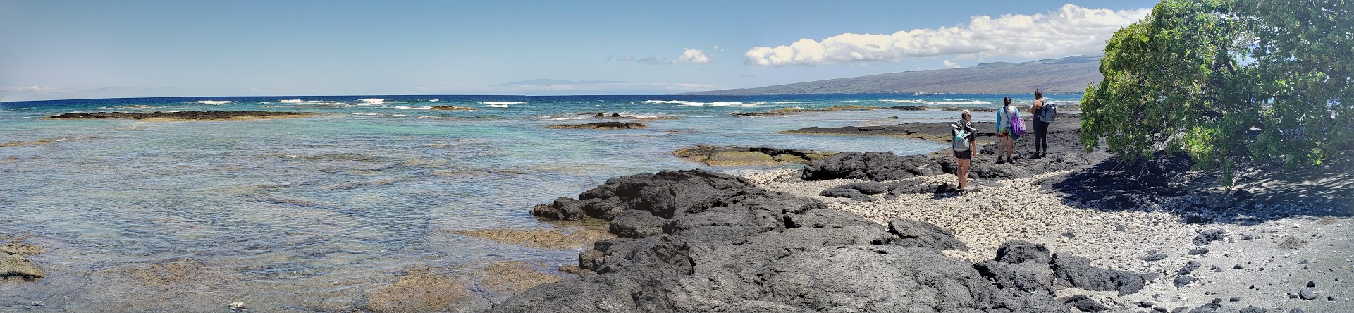 University of Hawaii Hilo students and alumni test water quality in Puako, Hawaii for the Department of Health