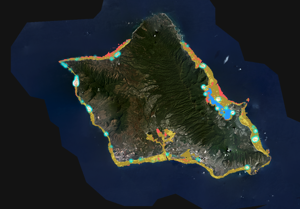 Screen shot of the Allen Coral Atlas