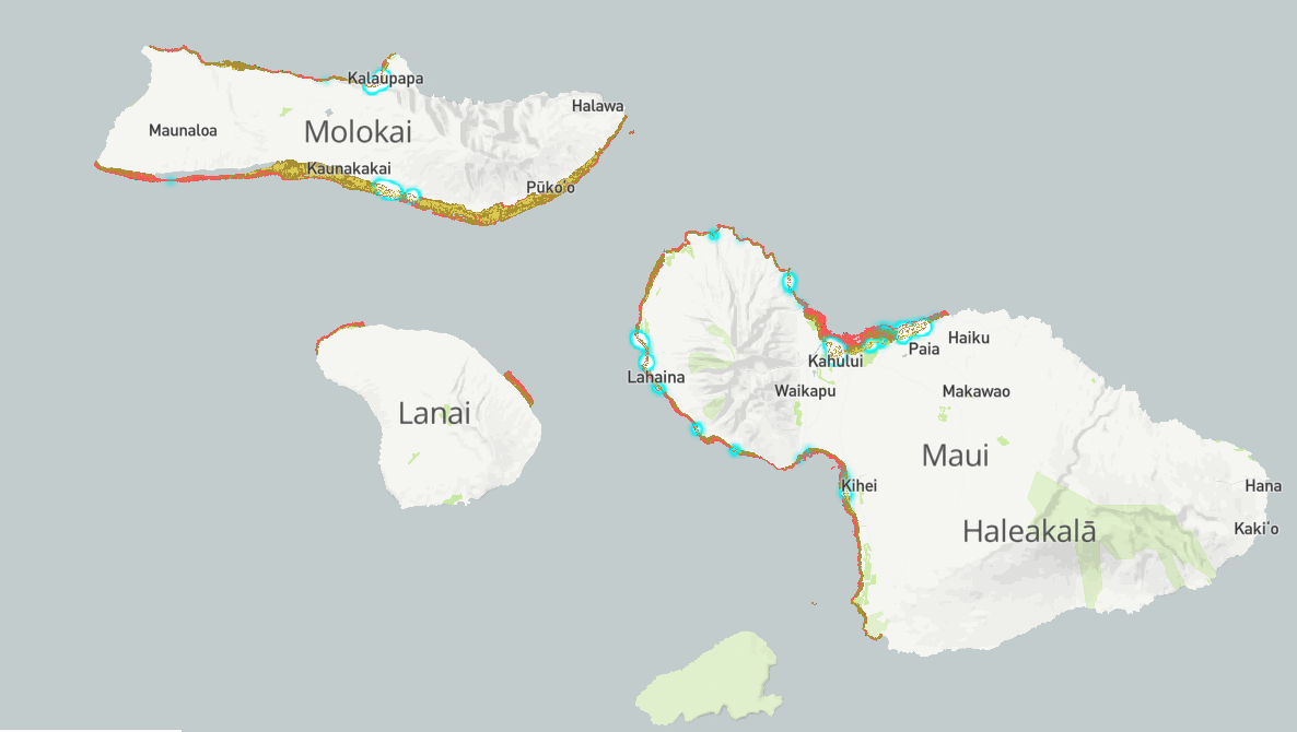 Screenshot of Hawaii map from the Allen Coral Atlas