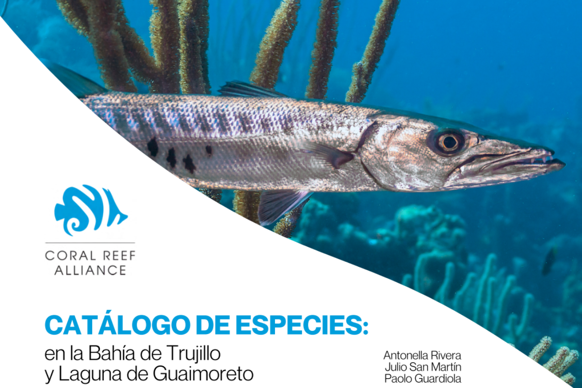 Catalogo de especies de Trujillo