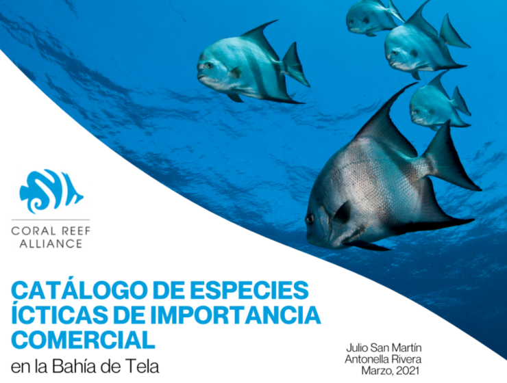 Catalogo de especies de bahia de tela