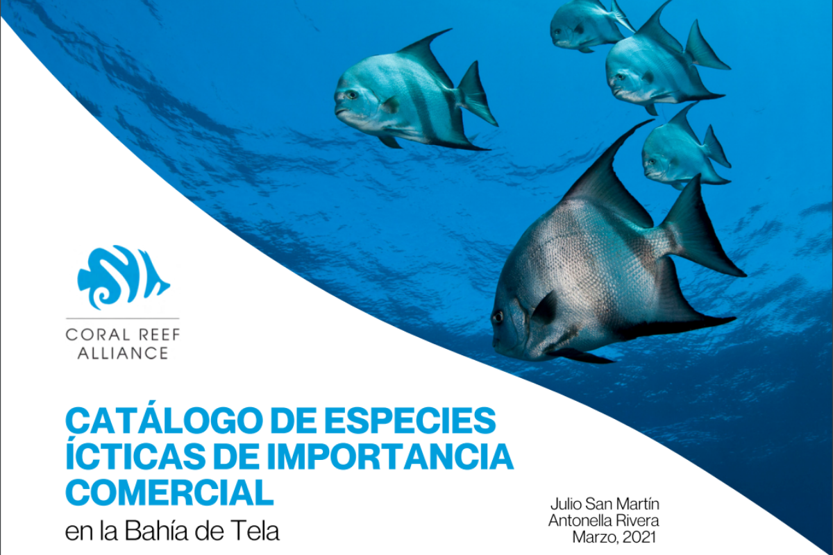 Catalogo de especies de bahia de tela